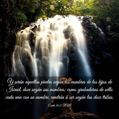 Picture 03 - Éxodo 28:21 RVA - Y serán aquellas piedra según los nombres de - Bible Verse Picture