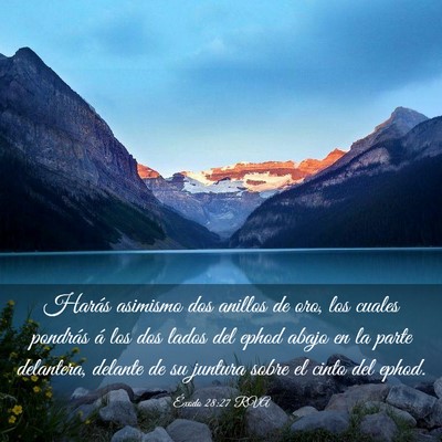 Picture 03 - Éxodo 28:27 RVA - Harás asimismo dos anillos de oro, los cuales - Bible Verse Picture