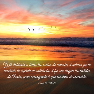 Picture 03 - Éxodo 28:3 RVA - Y tú hablarás á todos los sabios de corazón, - Bible Verse Picture