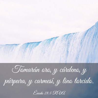 Picture 03 - Éxodo 28:5 RVA - Tomarán oro, y cárdeno, y púrpura, y carmesí, - Bible Verse Picture