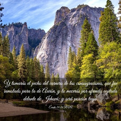 Picture 03 - Éxodo 29:26 RVA - Y tomarás el pecho del carnero de las - Bible Verse Picture