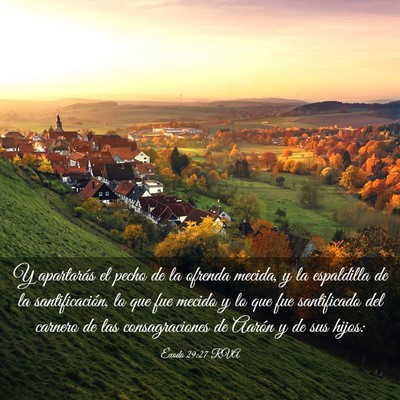 Picture 03 - Éxodo 29:27 RVA - Y apartarás el pecho de la ofrenda mecida, y la - Bible Verse Picture