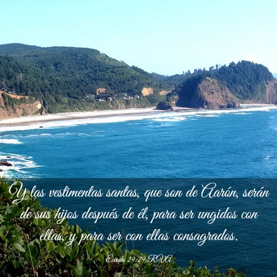Picture 03 - Éxodo 29:29 RVA - Y las vestimentas santas, que son de Aarón, - Bible Verse Picture