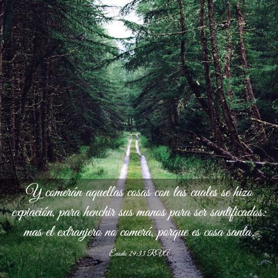 Picture 03 - Éxodo 29:33 RVA - Y comerán aquellas cosas con las cuales se hizo - Bible Verse Picture