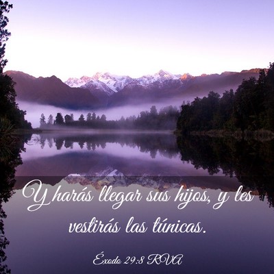 Picture 03 - Éxodo 29:8 RVA - Y harás llegar sus hijos, y les vestirás las - Bible Verse Picture