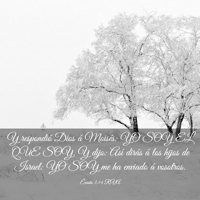 Picture 03 - Éxodo 3:14 RVA - Y respondió Dios á Moisés: YO SOY EL QUE SOY. - Bible Verse Picture