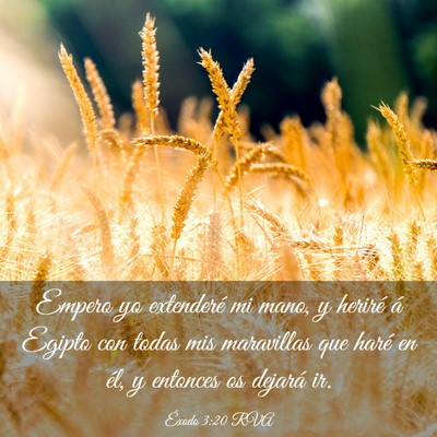 Picture 03 - Éxodo 3:20 RVA - Empero yo extenderé mi mano, y heriré á Egipto - Bible Verse Picture