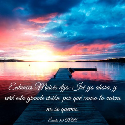 Picture 03 - Éxodo 3:3 RVA - Entonces Moisés dijo: Iré yo ahora, y veré - Bible Verse Picture