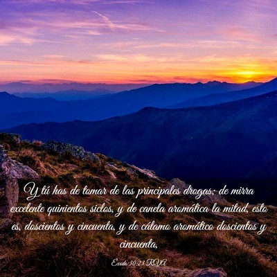 Picture 03 - Éxodo 30:23 RVA - Y tú has de tomar de las principales drogas; de - Bible Verse Picture