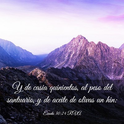 Picture 03 - Éxodo 30:24 RVA - Y de casia quinientos, al peso del santuario, y - Bible Verse Picture