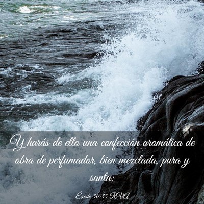 Picture 03 - Éxodo 30:35 RVA - Y harás de ello una confección aromática de - Bible Verse Picture