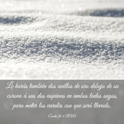 Picture 03 - Éxodo 30:4 RVA - Le harás también dos anillos de oro debajo de - Bible Verse Picture