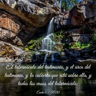 Picture 03 - Éxodo 31:7 RVA - El tabernáculo del testimonio, y el arca del - Bible Verse Picture