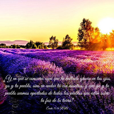 Picture 03 - Éxodo 33:16 RVA - ¿Y en qué se conocerá aquí que he hallado - Bible Verse Picture