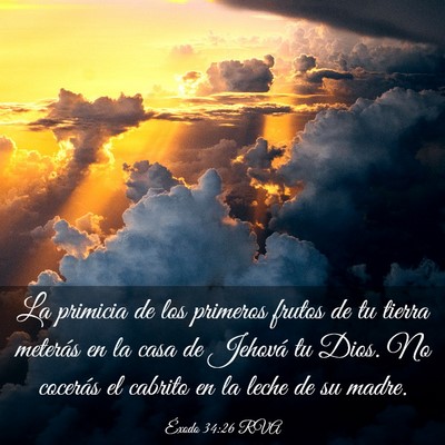 Picture 03 - Éxodo 34:26 RVA - La primicia de los primeros frutos de tu tierra - Bible Verse Picture