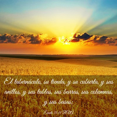 Picture 03 - Éxodo 35:11 RVA - El tabernáculo, su tienda, y su cubierta, y sus - Bible Verse Picture