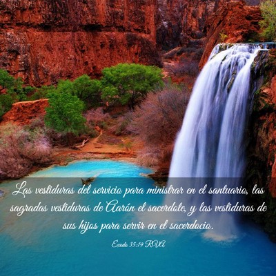 Picture 03 - Éxodo 35:19 RVA - Las vestiduras del servicio para ministrar en el - Bible Verse Picture
