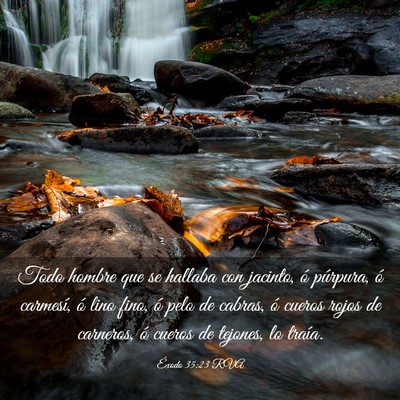 Picture 03 - Éxodo 35:23 RVA - Todo hombre que se hallaba con jacinto, ó - Bible Verse Picture