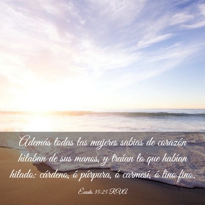 Picture 03 - Éxodo 35:25 RVA - Además todas las mujeres sabias de corazón - Bible Verse Picture