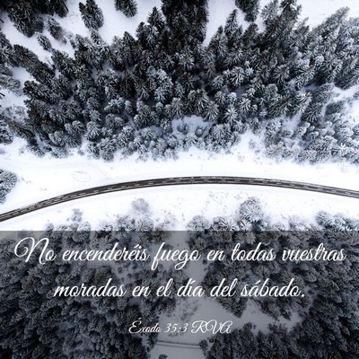 Picture 03 - Éxodo 35:3 RVA - No encenderéis fuego en todas vuestras moradas - Bible Verse Picture