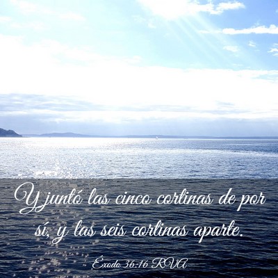 Picture 03 - Éxodo 36:16 RVA - Y juntó las cinco cortinas de por sí, y las - Bible Verse Picture
