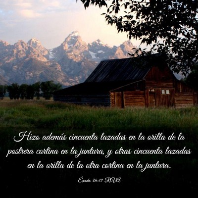 Picture 03 - Éxodo 36:17 RVA - Hizo además cincuenta lazadas en la orilla de la - Bible Verse Picture