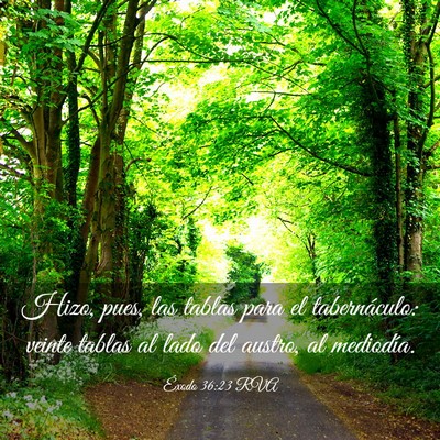 Picture 03 - Éxodo 36:23 RVA - Hizo, pues, las tablas para el tabernáculo: - Bible Verse Picture