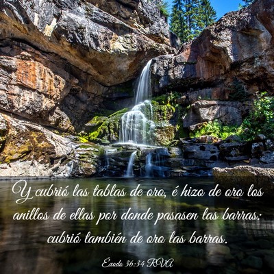Picture 03 - Éxodo 36:34 RVA - Y cubrió las tablas de oro, é hizo de oro los - Bible Verse Picture