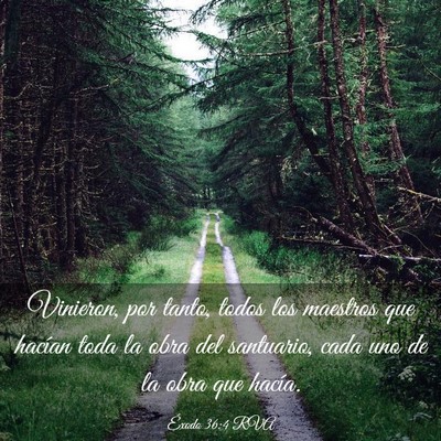 Picture 03 - Éxodo 36:4 RVA - Vinieron, por tanto, todos los maestros que - Bible Verse Picture