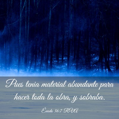 Picture 03 - Éxodo 36:7 RVA - Pues tenia material abundante para hacer toda la - Bible Verse Picture