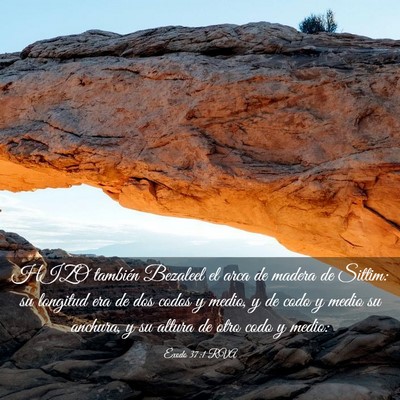 Picture 03 - Éxodo 37:1 RVA - HIZO también Bezaleel el arca de madera de - Bible Verse Picture