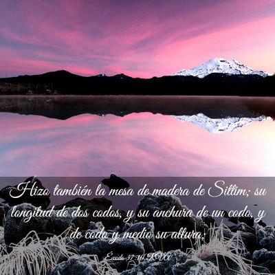 Picture 03 - Éxodo 37:10 RVA - Hizo también la mesa de madera de Sittim; su - Bible Verse Picture