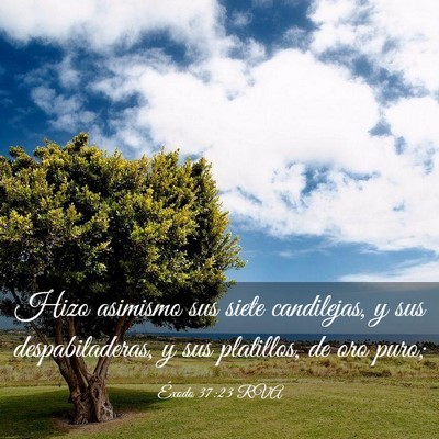 Picture 03 - Éxodo 37:23 RVA - Hizo asimismo sus siete candilejas, y sus - Bible Verse Picture