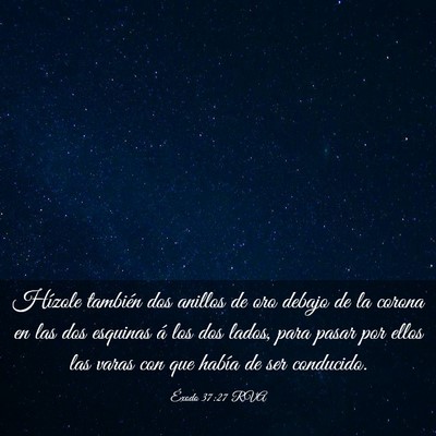 Picture 03 - Éxodo 37:27 RVA - Hízole también dos anillos de oro debajo de la - Bible Verse Picture