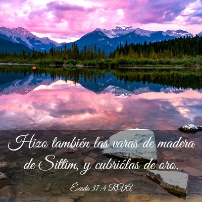 Picture 03 - Éxodo 37:4 RVA - Hizo también las varas de madera de Sittim, y - Bible Verse Picture
