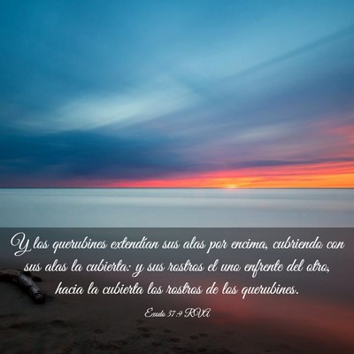 Picture 03 - Éxodo 37:9 RVA - Y los querubines extendían sus alas por encima, - Bible Verse Picture