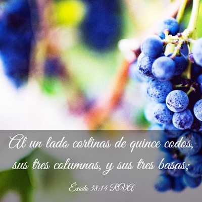 Picture 03 - Éxodo 38:14 RVA - Al un lado cortinas de quince codos, sus tres - Bible Verse Picture