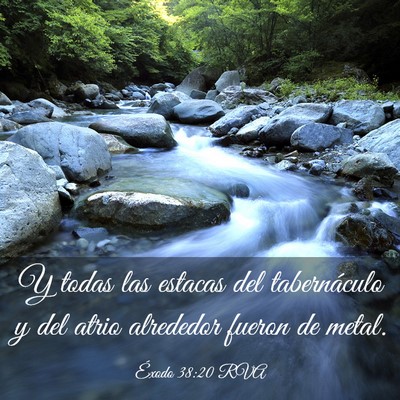 Picture 03 - Éxodo 38:20 RVA - Y todas las estacas del tabernáculo y del atrio - Bible Verse Picture