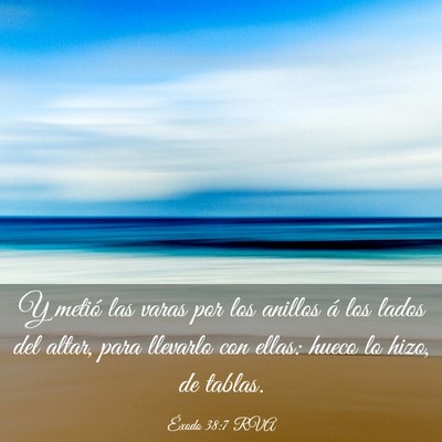 Picture 03 - Éxodo 38:7 RVA - Y metió las varas por los anillos á los lados - Bible Verse Picture