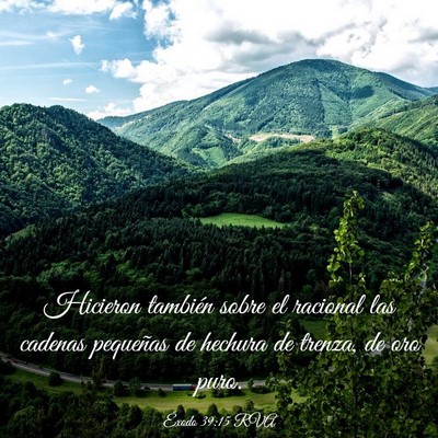Picture 03 - Éxodo 39:15 RVA - Hicieron también sobre el racional las cadenas - Bible Verse Picture