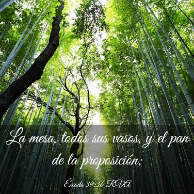 Picture 03 - Éxodo 39:36 RVA - La mesa, todos sus vasos, y el pan de la - Bible Verse Picture