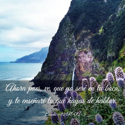 Picture 03 - Éxodo 4:12 RVA - Ahora pues, ve, que yo seré en tu boca, y te - Bible Verse Picture