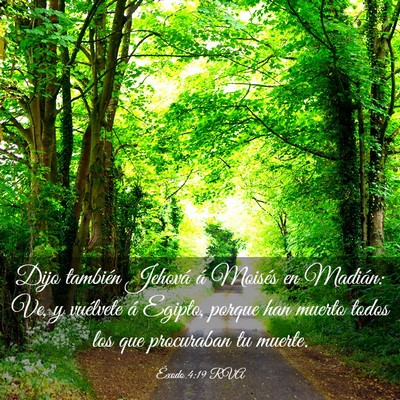 Picture 03 - Éxodo 4:19 RVA - Dijo también Jehová á Moisés en Madián: Ve, - Bible Verse Picture