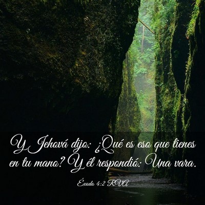 Picture 03 - Éxodo 4:2 RVA - Y Jehová dijo: ¿Qué es eso que tienes en tu - Bible Verse Picture
