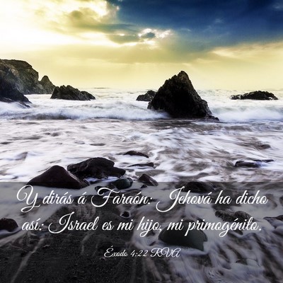 Picture 03 - Éxodo 4:22 RVA - Y dirás á Faraón: Jehová ha dicho así: - Bible Verse Picture