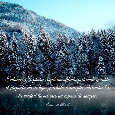 Picture 03 - Éxodo 4:25 RVA - Entonces Séphora cogió un afilado pedernal, y - Bible Verse Picture