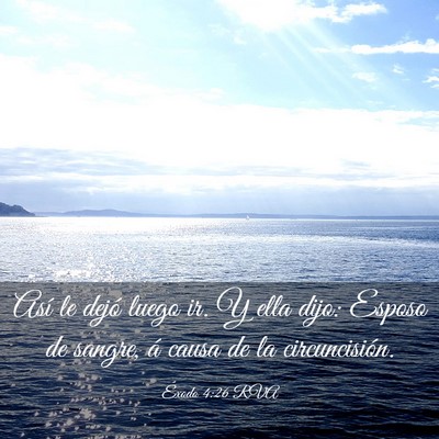 Picture 03 - Éxodo 4:26 RVA - Así le dejó luego ir. Y ella dijo: Esposo de - Bible Verse Picture