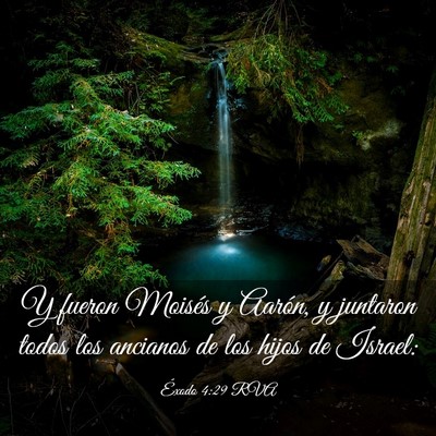 Picture 03 - Éxodo 4:29 RVA - Y fueron Moisés y Aarón, y juntaron todos los - Bible Verse Picture