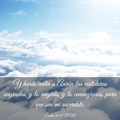 Picture 03 - Éxodo 40:13 RVA - Y harás vestir á Aarón las vestiduras - Bible Verse Picture