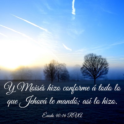 Picture 03 - Éxodo 40:16 RVA - Y Moisés hizo conforme á todo lo que Jehová le - Bible Verse Picture